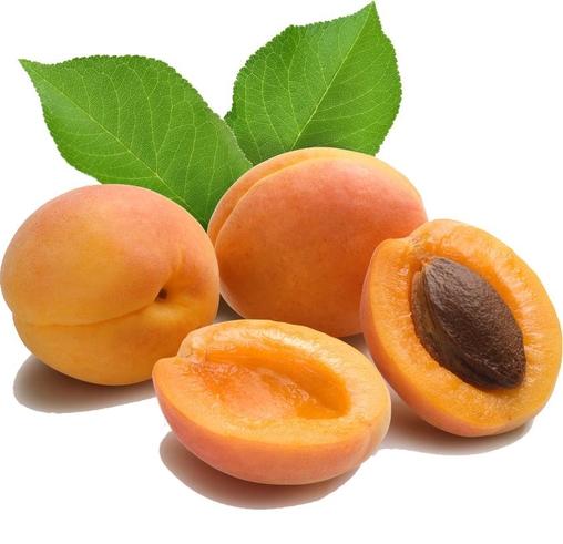 Apricot